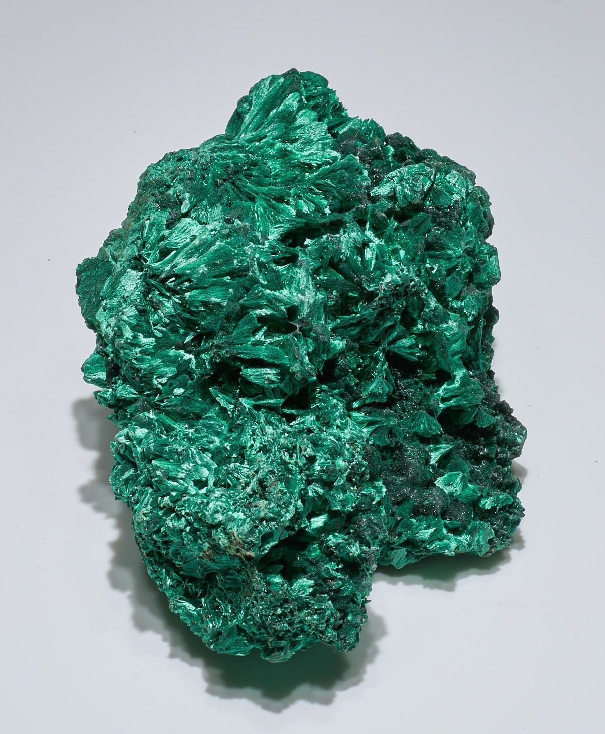 3.77 LB Fibrous Malachite Collector Specimen