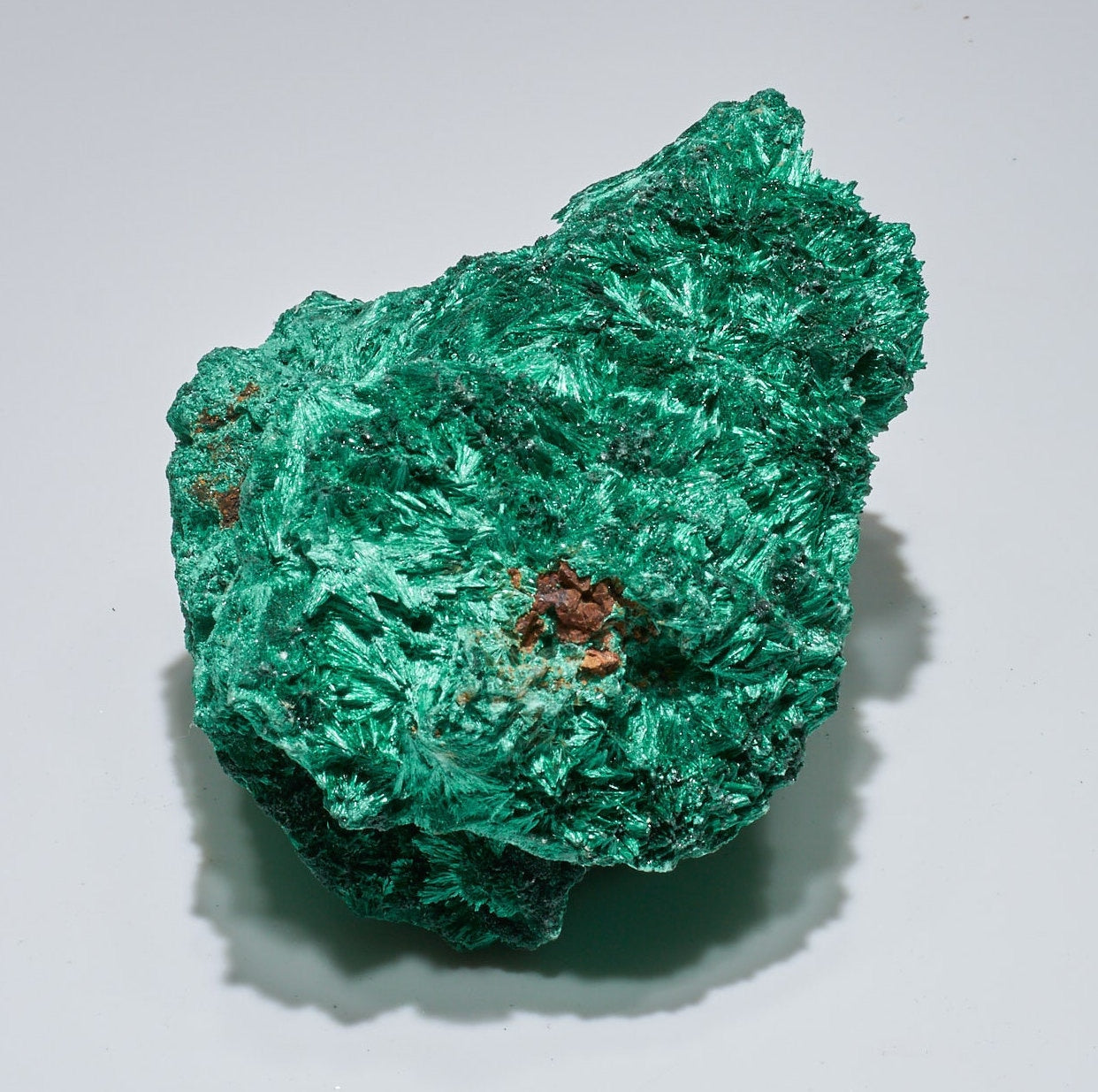 3.3 LB Fibrous Malachite Collector Specimen