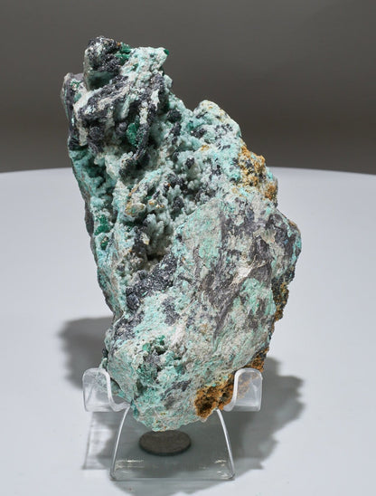 1.1 LB Musuem Crystallized Chrysocolla & Malachite Specimen