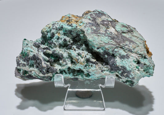 1.1 LB Musuem Crystallized Chrysocolla & Malachite Specimen