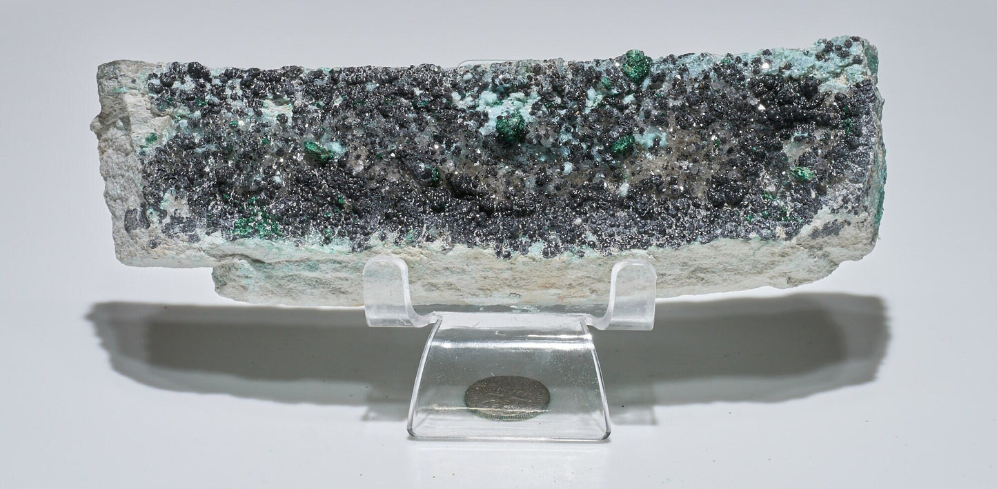 0.7 LB Musuem Crystallized Chrysocolla & Malachite Specimen