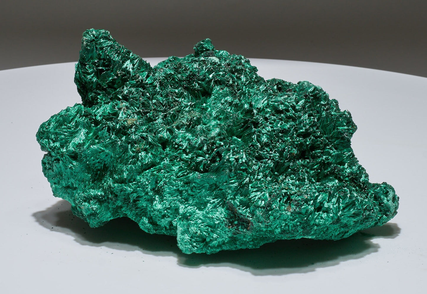 4 LB Fibrous Malachite Collector Specimen