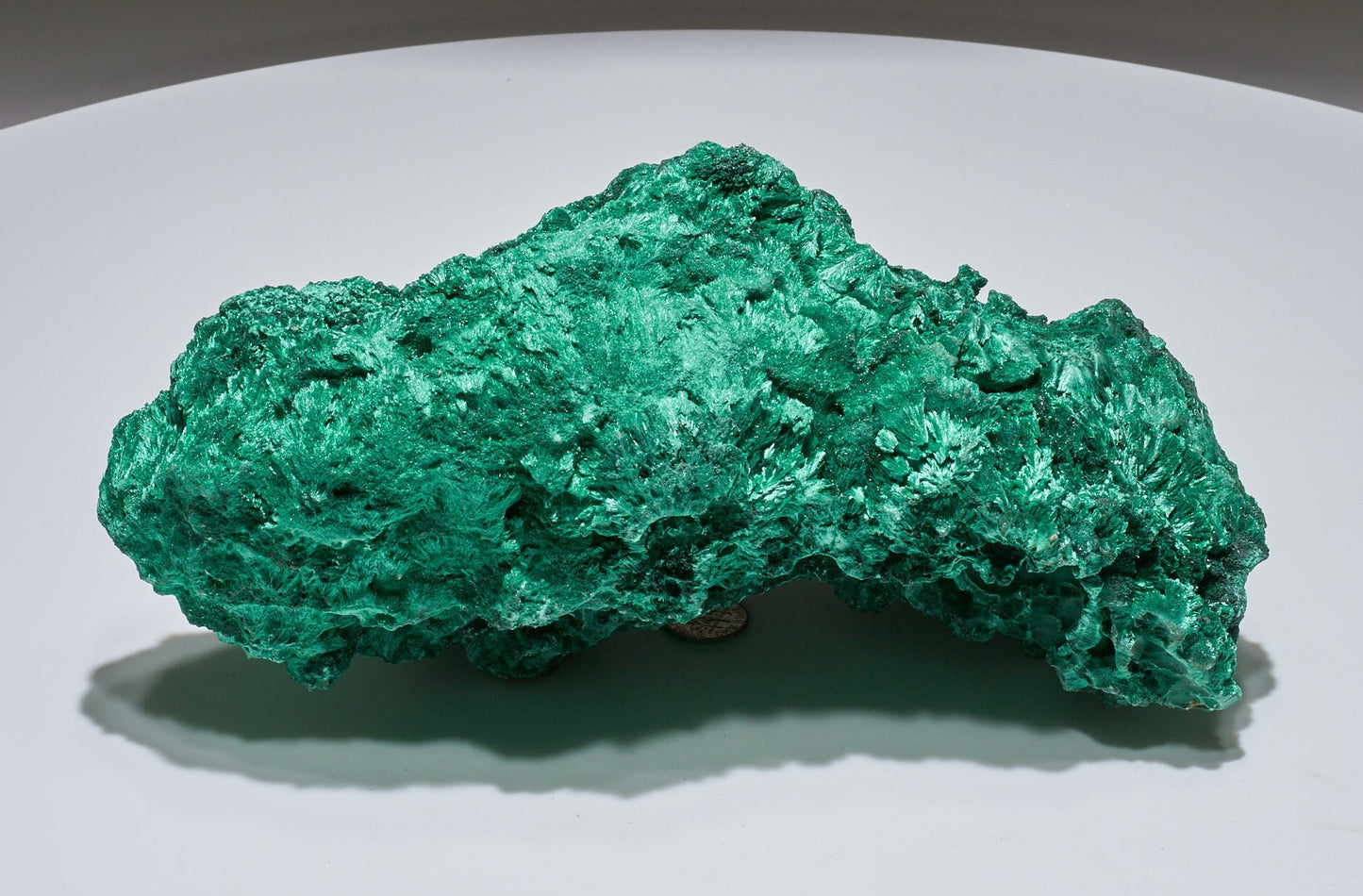 5.7 LB Fibrous Malachite Collector Specimen