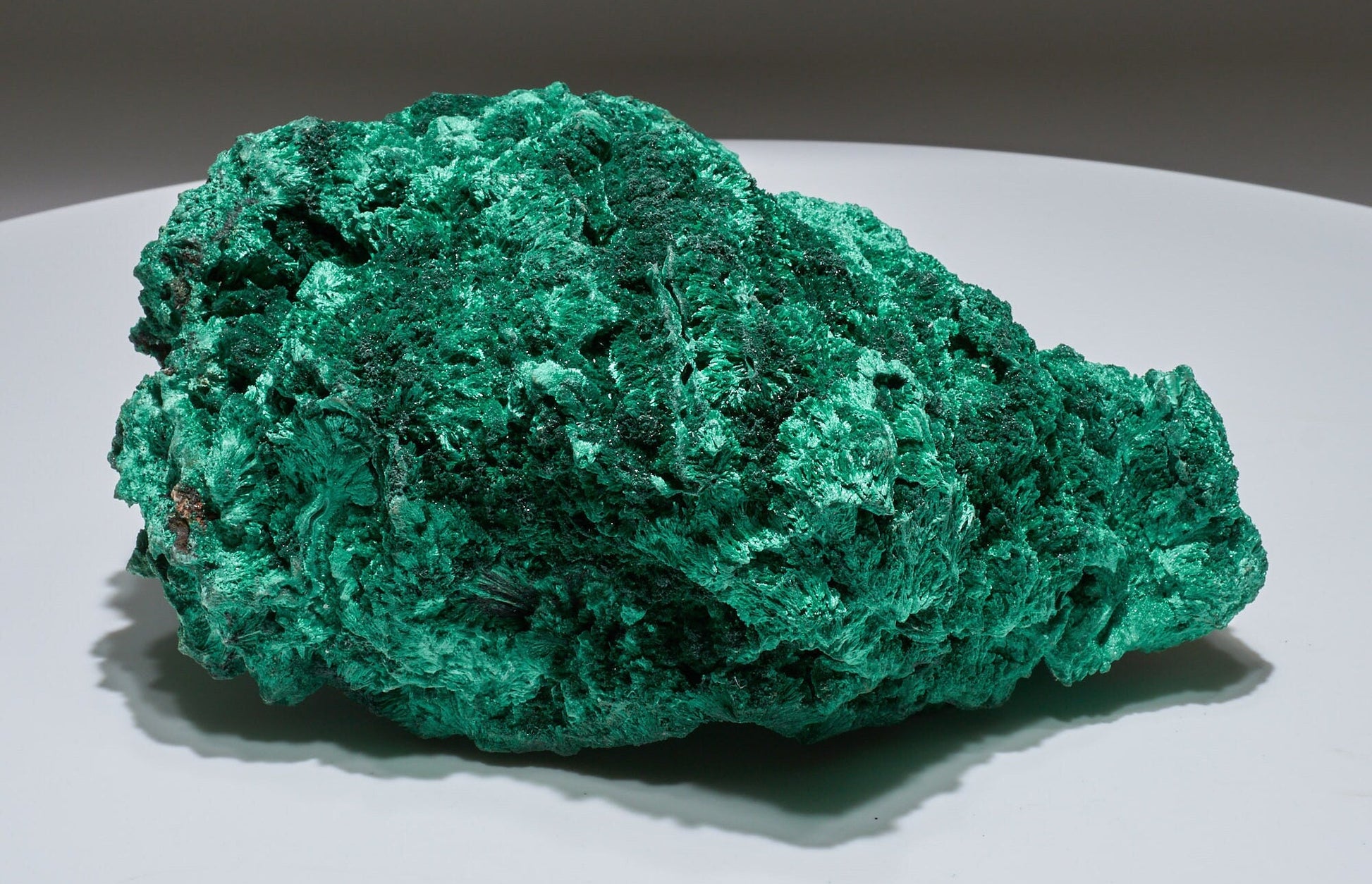 7 LB Fibrous Malachite Collector Specimen