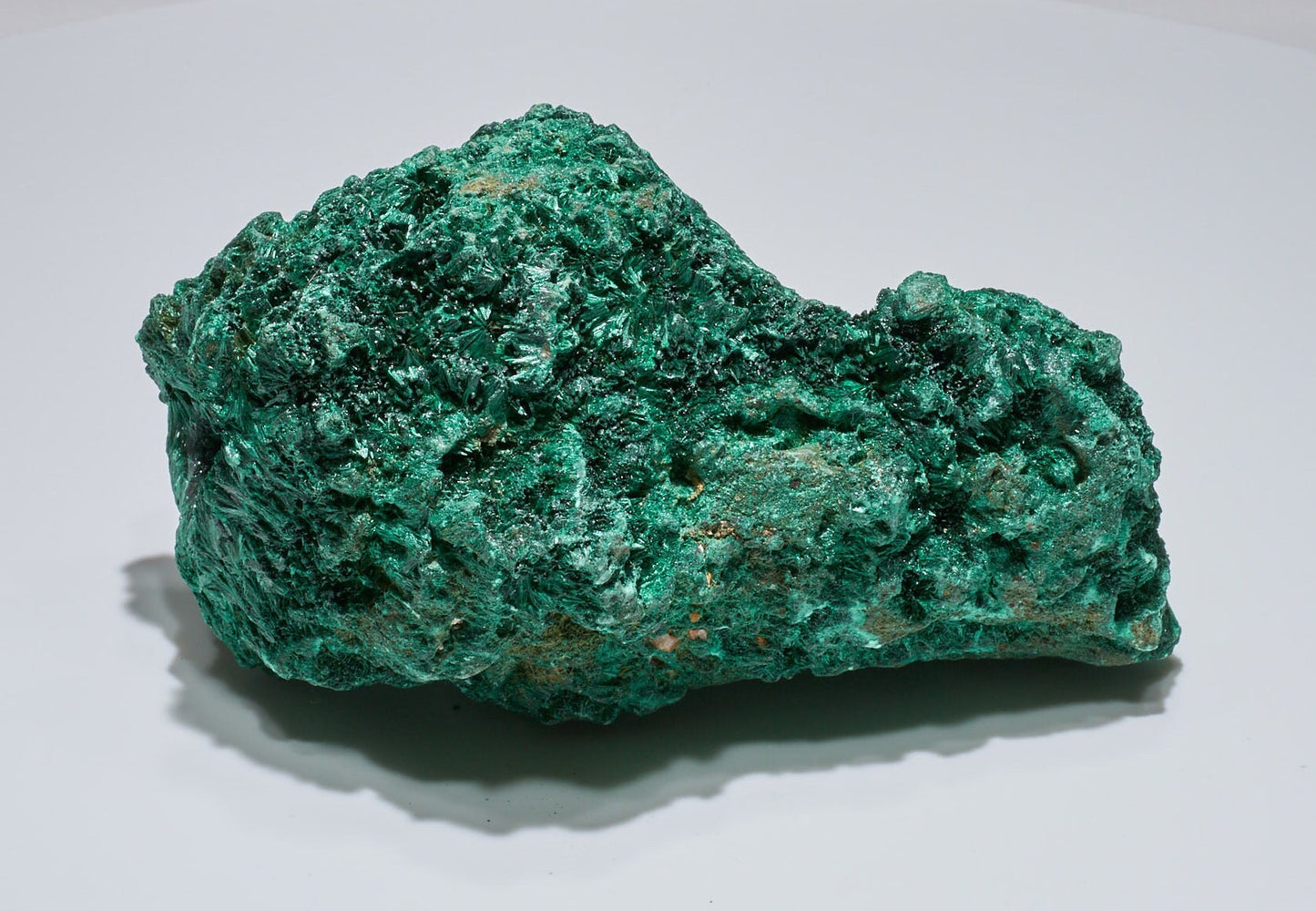 5.38 LB Fibrous Malachite Collector Specimen