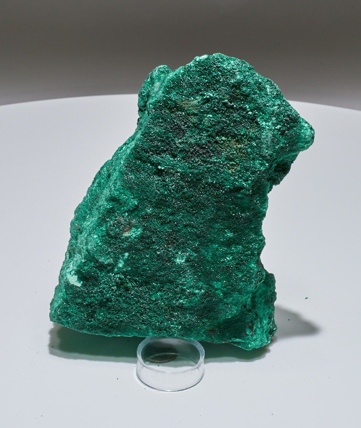 2.25 LB Fibrous Malachite Collector Specimen