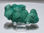 1.5 LB Botryoidal Malachite Crystallized Specimen