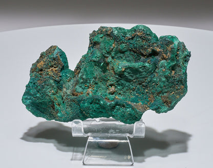 1.5 LB Botryoidal Malachite Crystallized Specimen