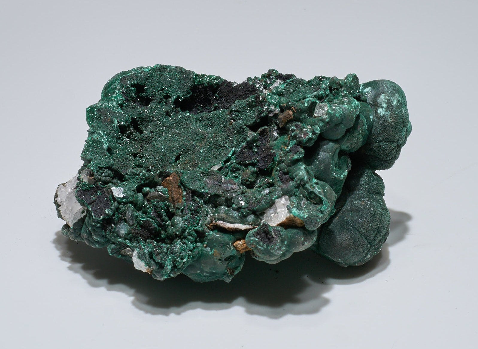 1.9 LB Botryoidal Malachite & Quartz Crystallized Specimen