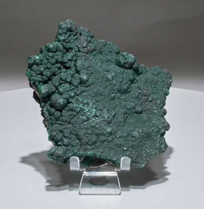 1.8 LB Botryoidal Malachite Crystallized Specimen