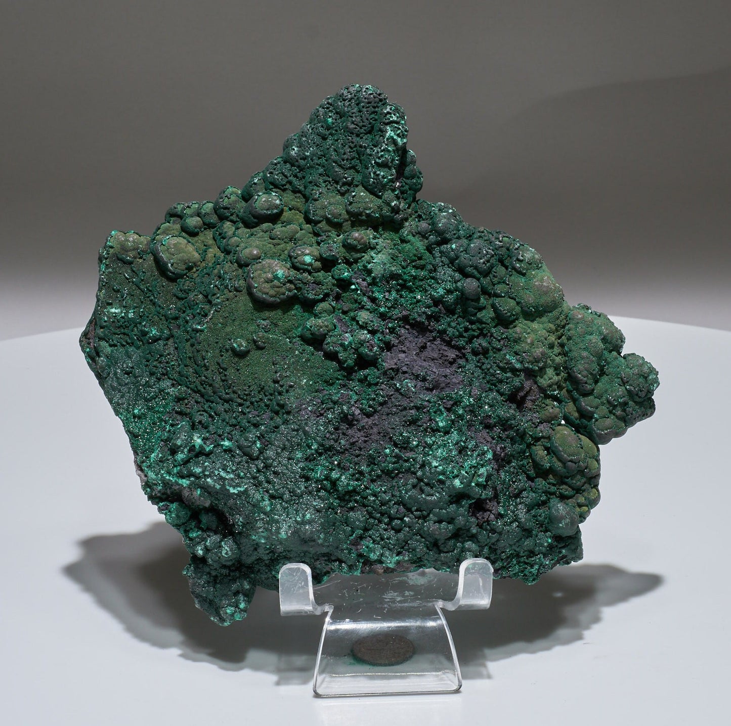 1.8 LB Botryoidal Malachite Crystallized Specimen