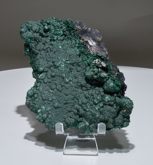 1.6 LB Botryoidal Malachite Crystallized Specimen