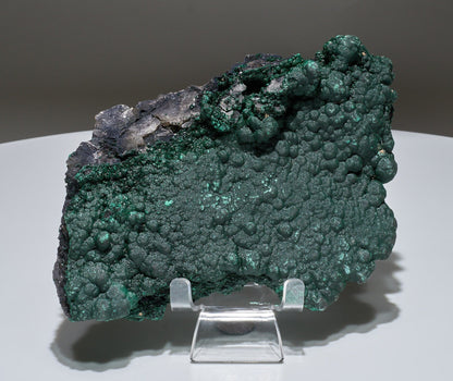 1.6 LB Botryoidal Malachite Crystallized Specimen