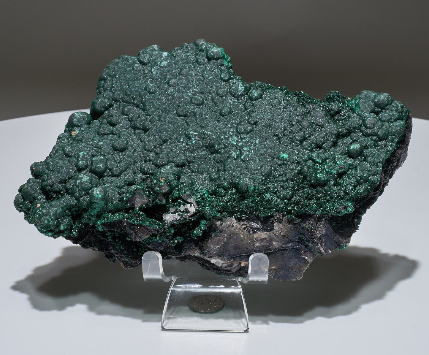 1.6 LB Botryoidal Malachite Crystallized Specimen