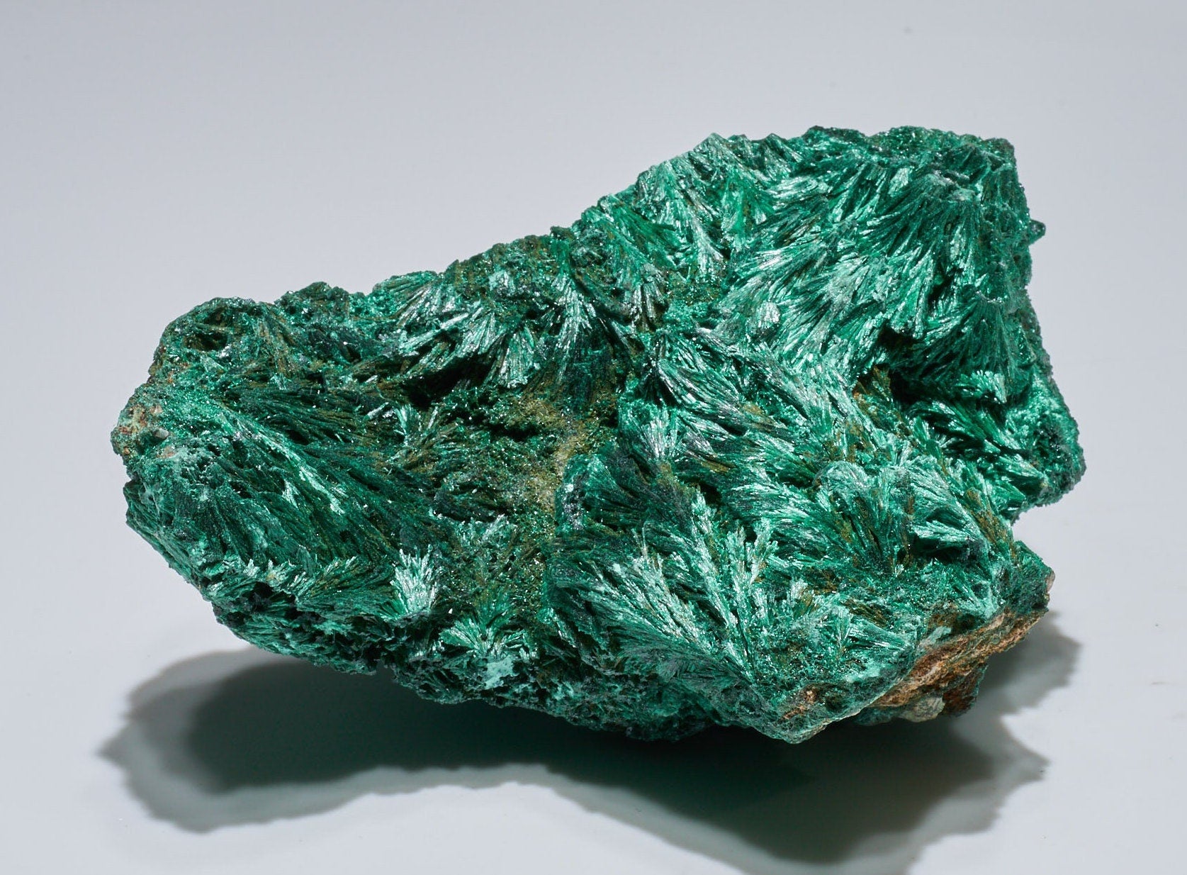 1.8 LB Fibrous Malachite Collector Specimen