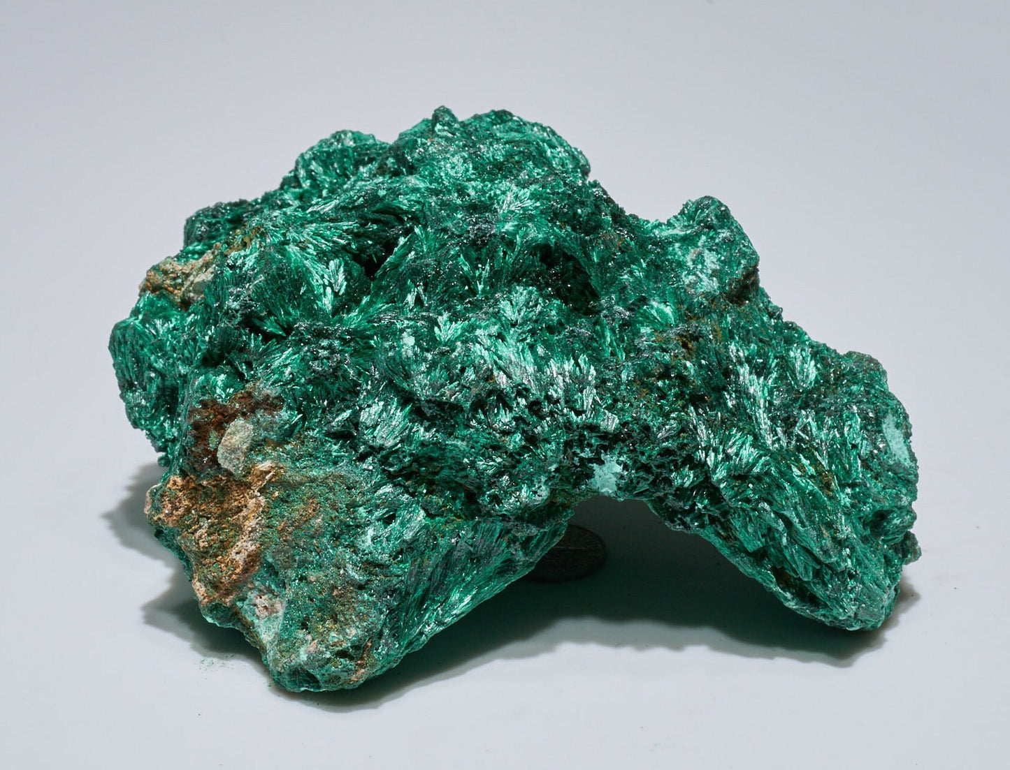 1.8 LB Fibrous Malachite Collector Specimen