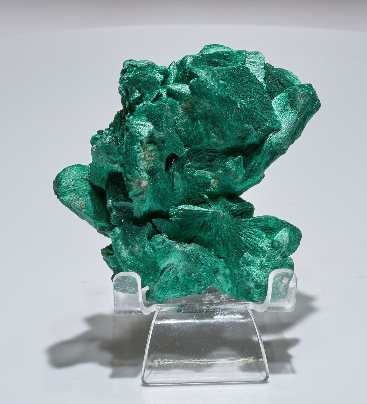 0.7 LB Fibrous Malachite Collector Specimen