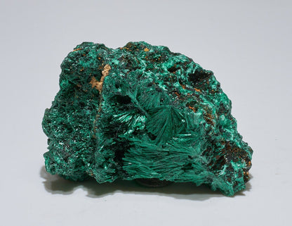 0.9 LB Fibrous Malachite Collector Specimen