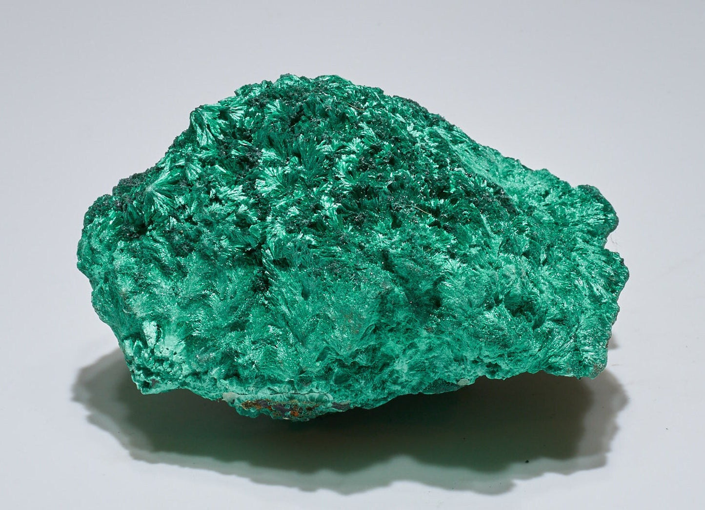 1.4 LB Fibrous Malachite Collector Specimen