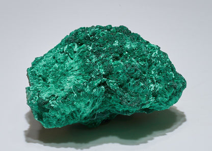 1.4 LB Fibrous Malachite Collector Specimen