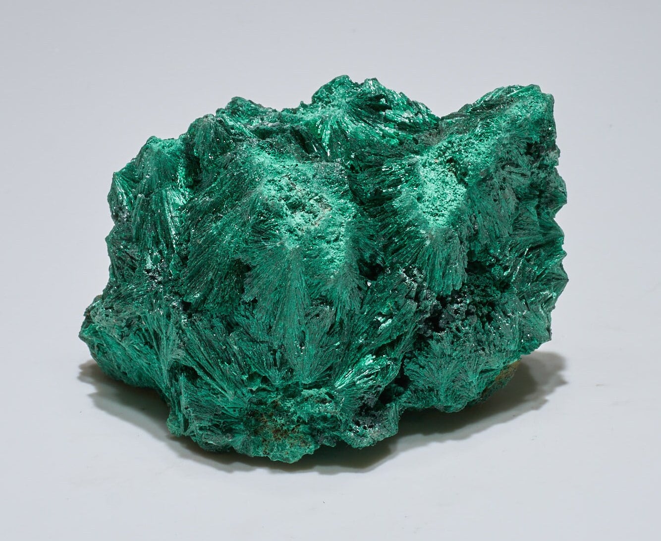 1.3 LB Fibrous Malachite Collector Specimen