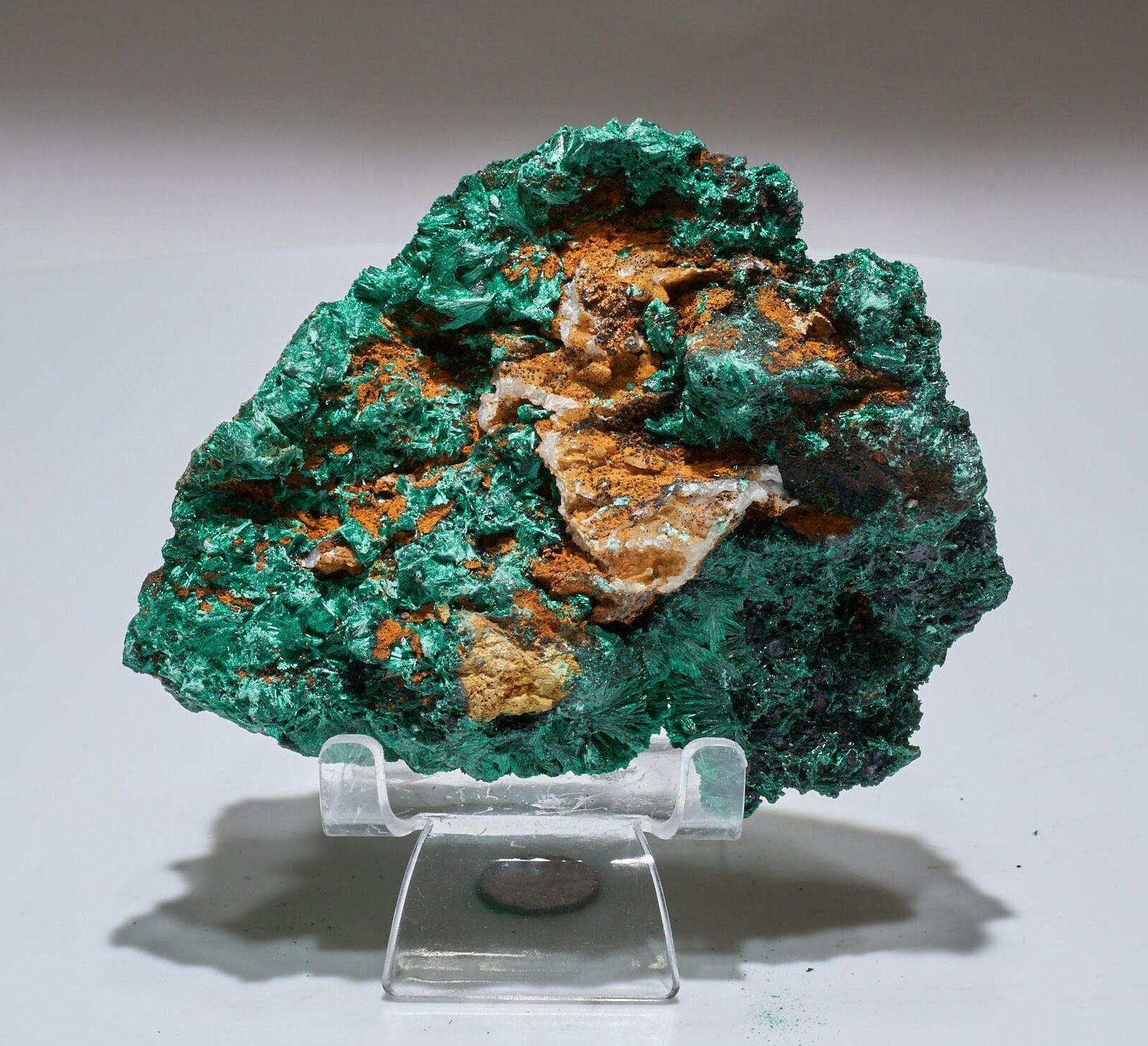 1.1 LB Fibrous Malachite Collector Specimen