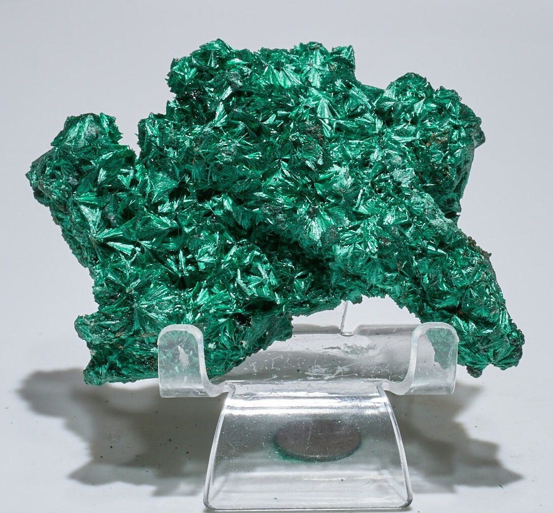 0.4 LB Fibrous Malachite Collector Specimen