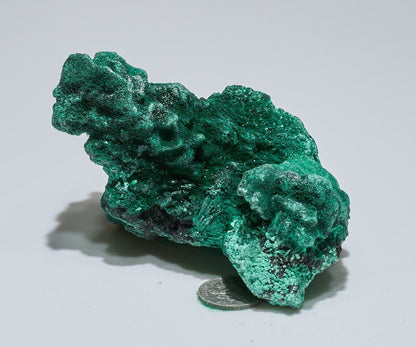 0.5 LB Fibrous Malachite Collector Specimen