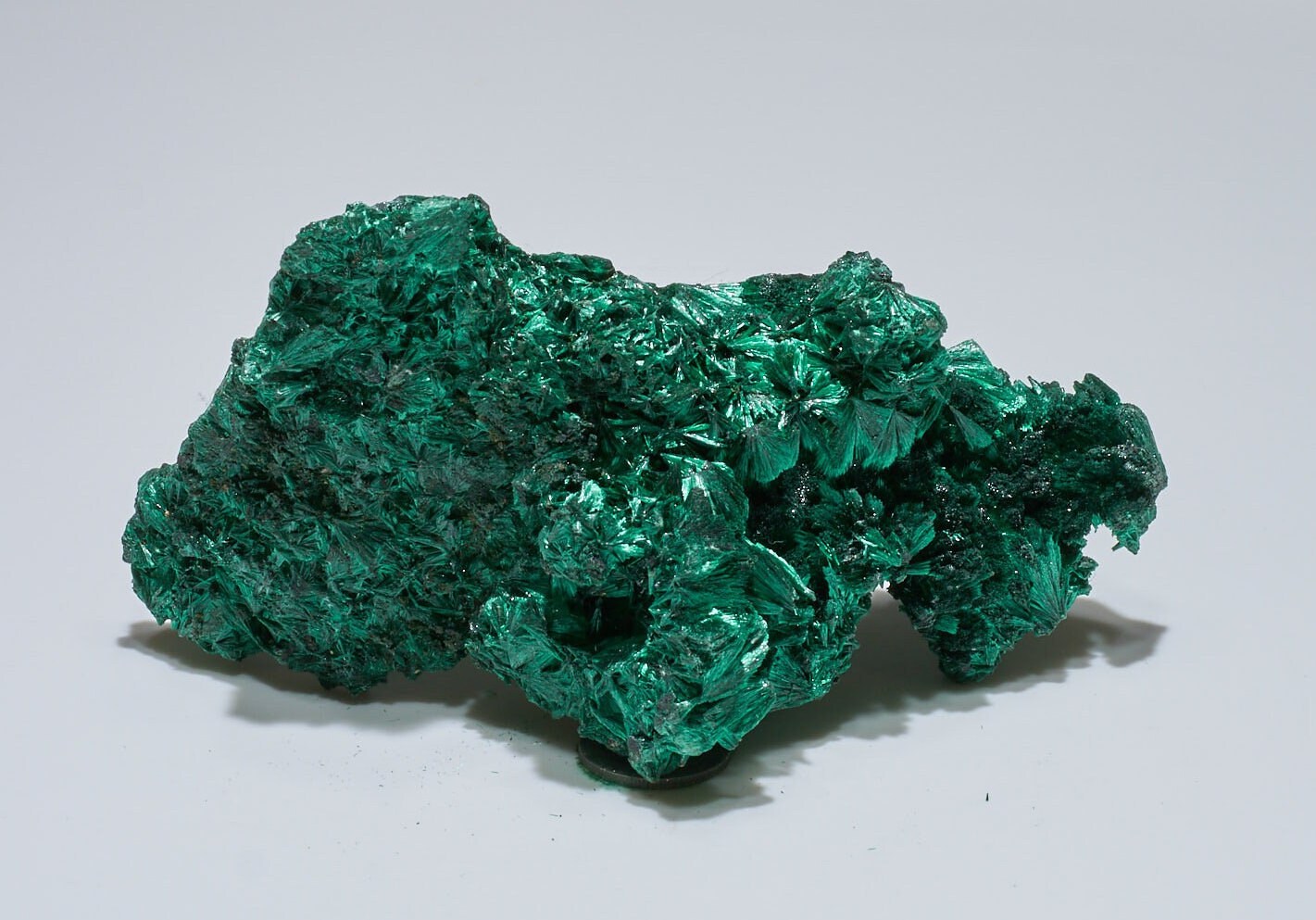 0.6 LB Fibrous Malachite Collector Specimen