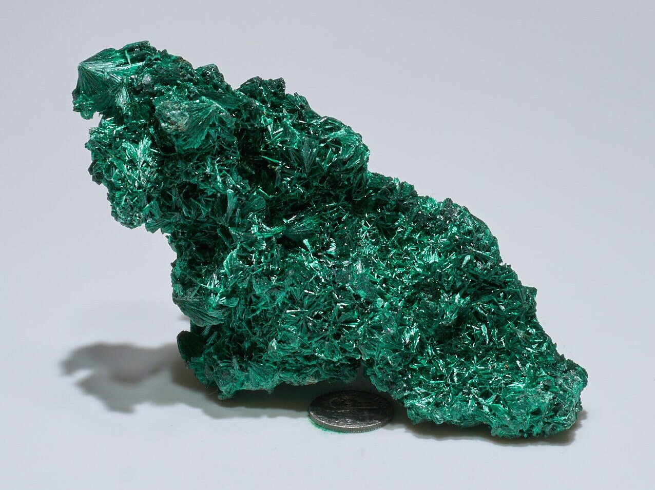 0.6 LB Fibrous Malachite Collector Specimen