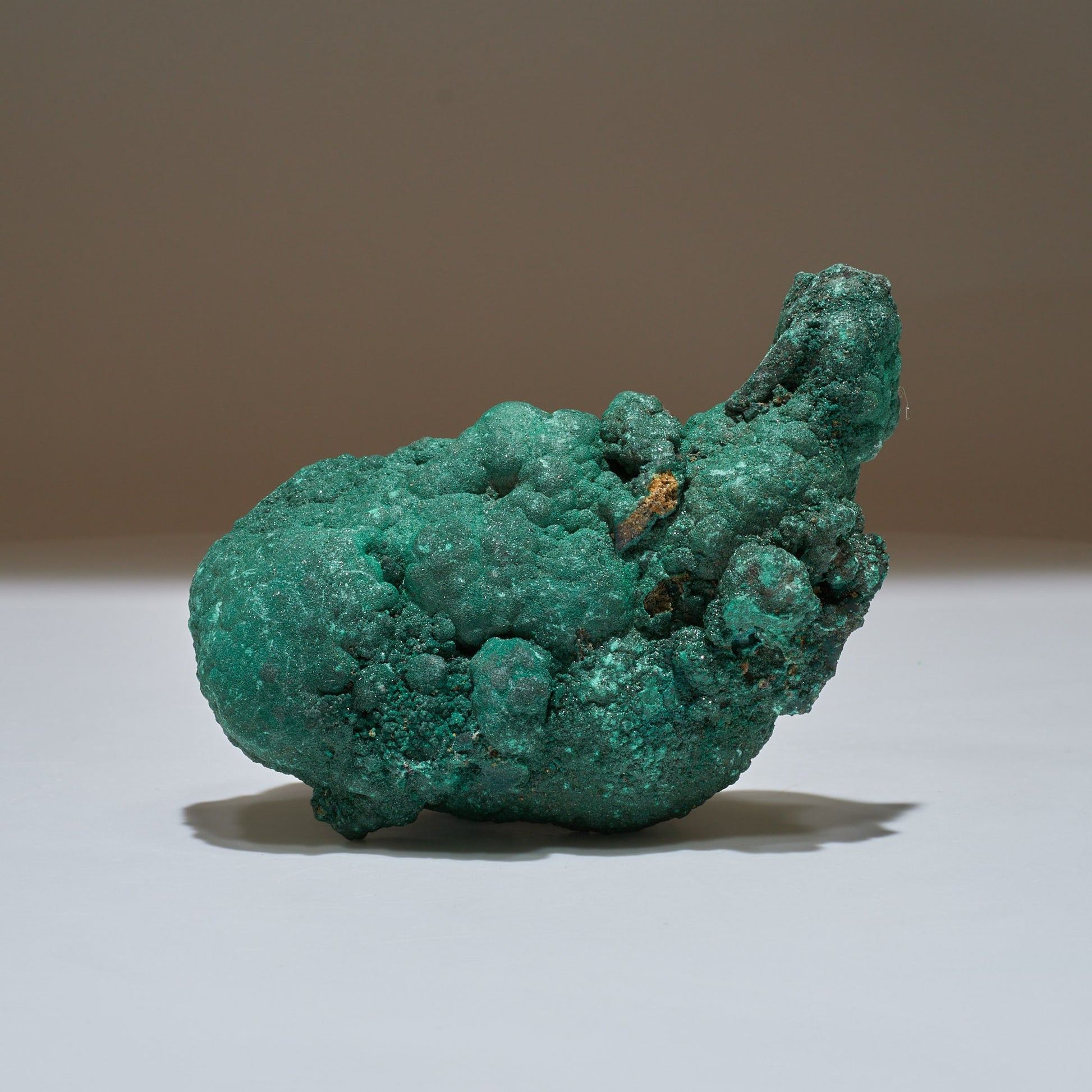 1.16 LB Botryoidal Crystallized Malachite Collector Specimen