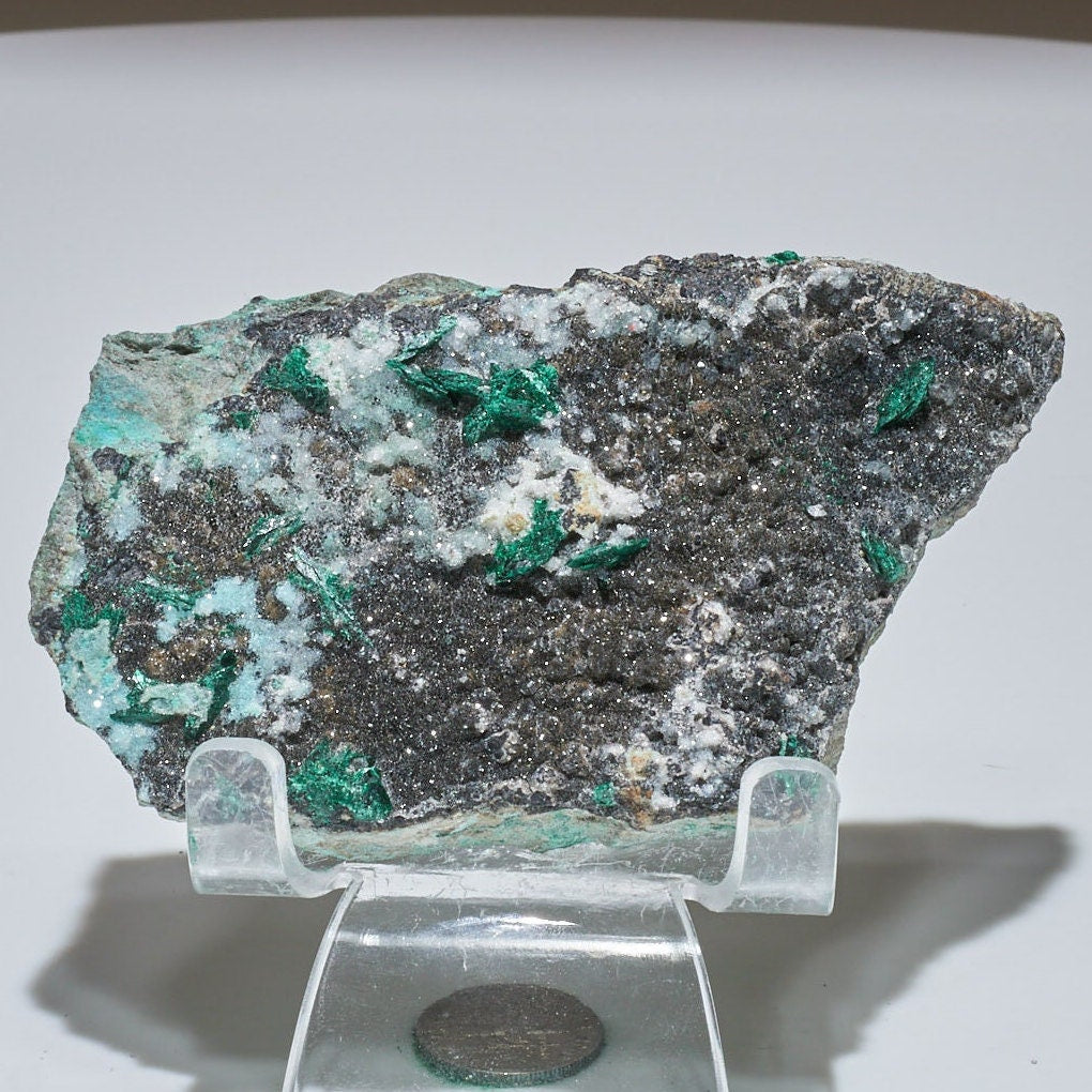 0.35 LB Crystallized Chrysocolla & Malachite Specimen