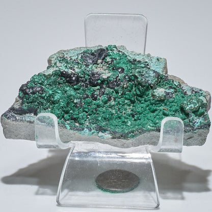 0.2 LB Crystallized Chrysocolla & Malachite Specimen