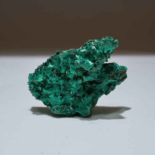 0.37 LB Fibrous Malachite Collector Specimen