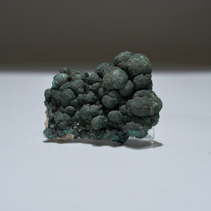 0.31 LB Botryoidal Malachite & Quartz Crystallized Specimen