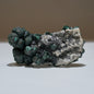 0.89 LB Botryoidal Malachite & Quartz Crystallized Specimen