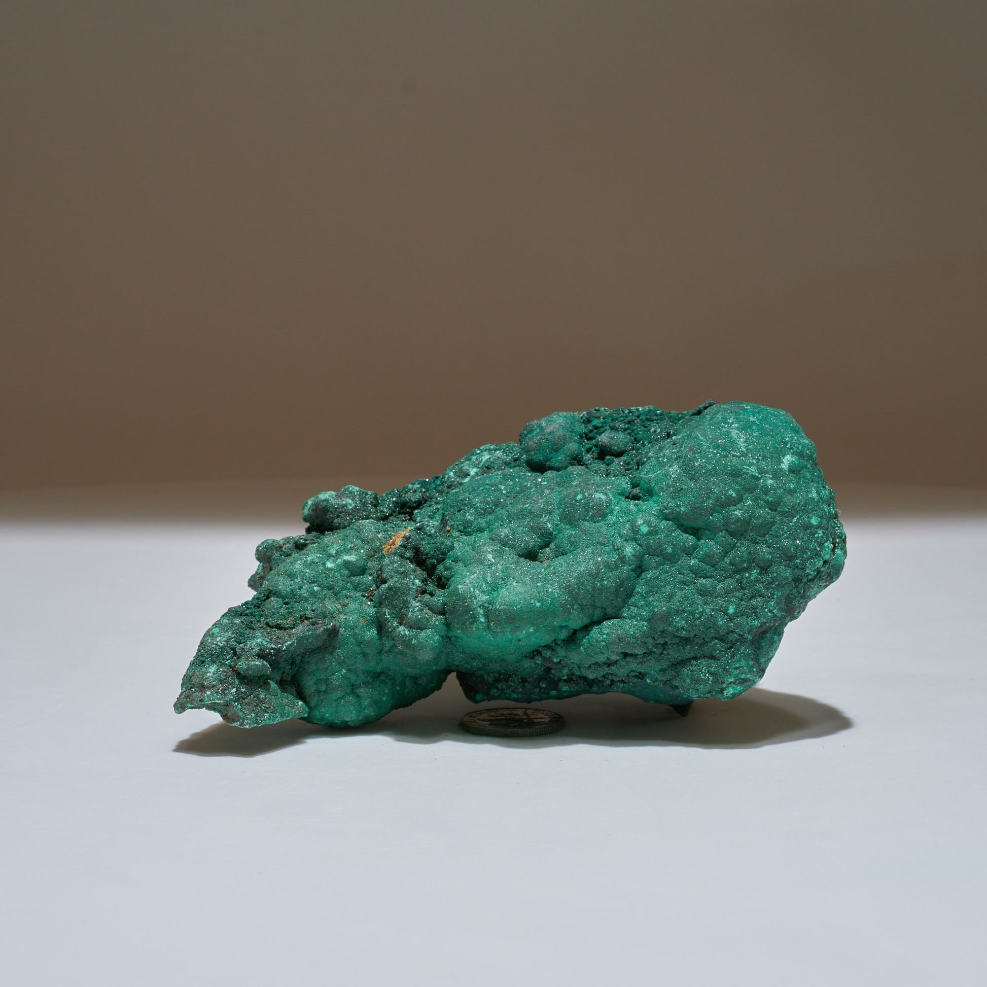 1.16 LB Botryoidal Crystallized Malachite Collector Specimen