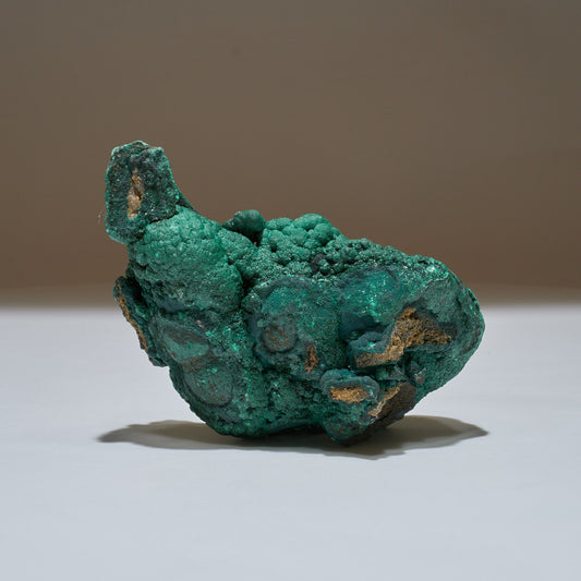 1.16 LB Botryoidal Crystallized Malachite Collector Specimen