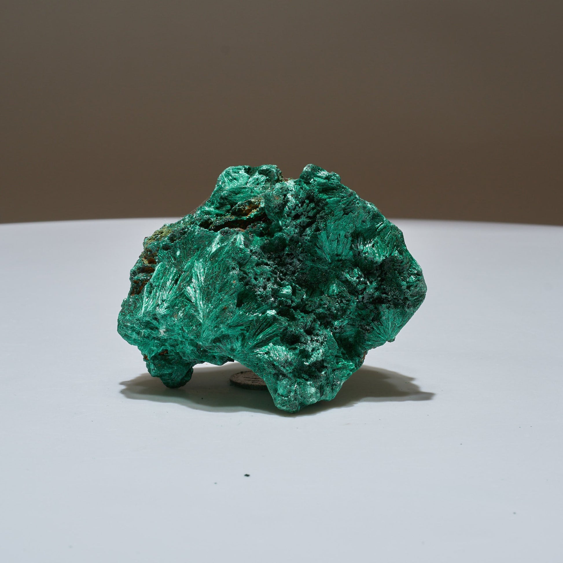 0.59 LB Fibrous Malachite Collector Specimen