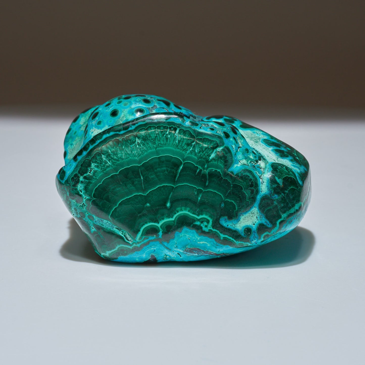 1 LB Polished Malachite & Chrysocolla Freeform