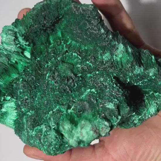 1.4 LB Fibrous Malachite Collector Specimen