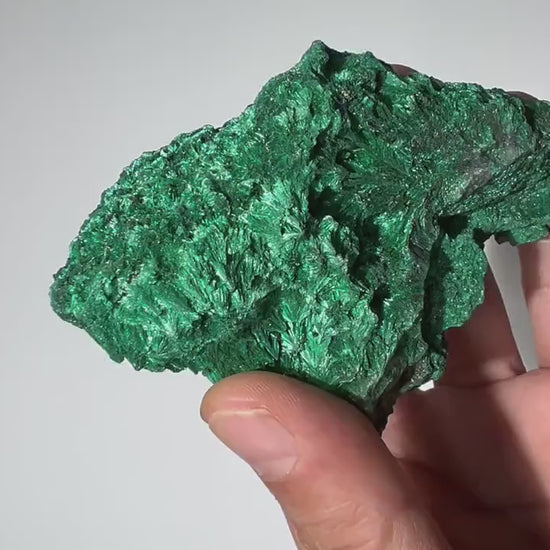 0.62 LB Fibrous Malachite Collector Specimen