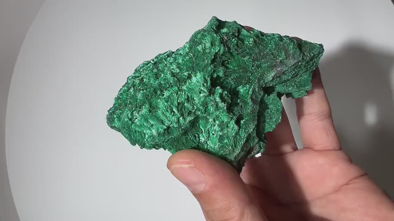 0.62 LB Fibrous Malachite Collector Specimen