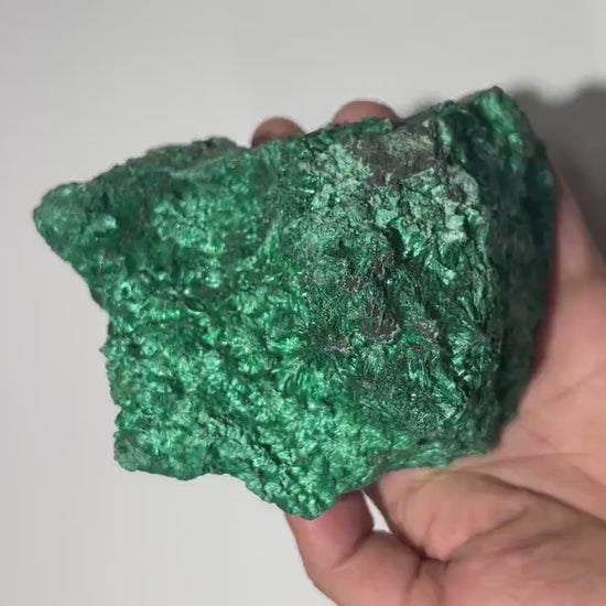 1.8 LB Fibrous Malachite Collector Specimen