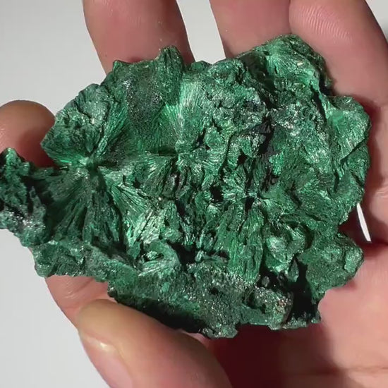 0.27 LB Fibrous Malachite Collector Specimen