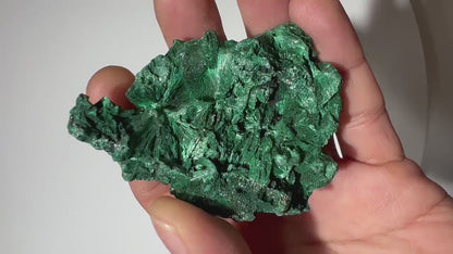 0.27 LB Fibrous Malachite Collector Specimen