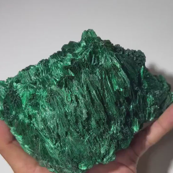 2.9 LB Cabinet Museum Chatoyant Fibrous Malachite Collector Specimen ( The Crown )