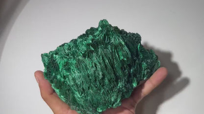 2.9 LB Cabinet Museum Chatoyant Fibrous Malachite Collector Specimen ( The Crown )