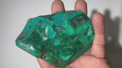 0.37 LB Polished Malachite & Chrysocolla Freeform