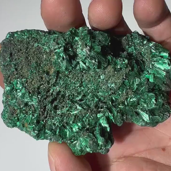 0.33 LB Fibrous Malachite Collector Specimen